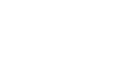 Torito
